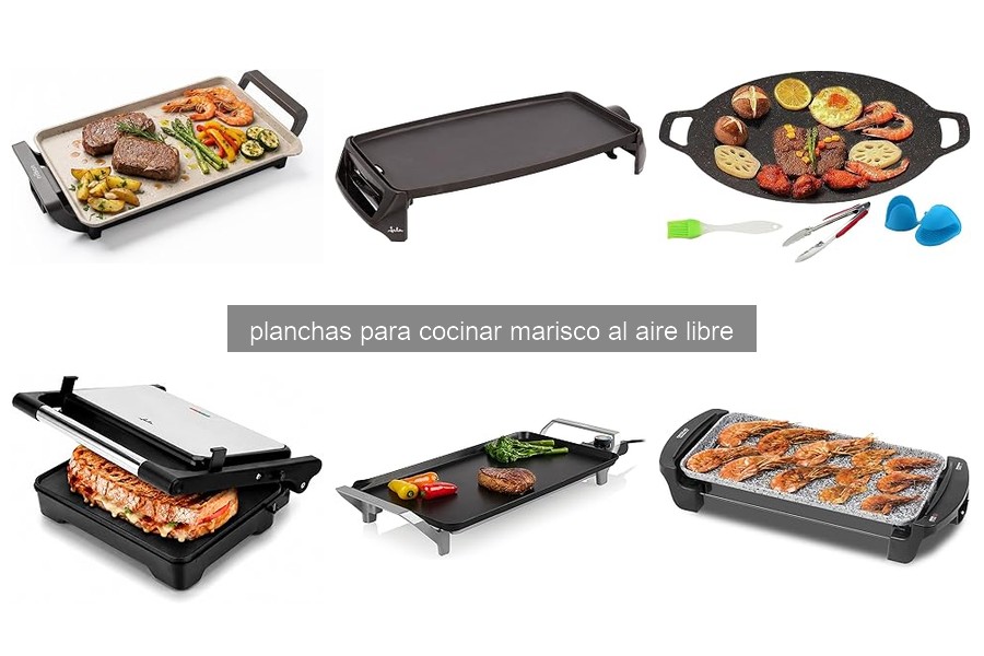 Características esenciales de planchas para cocinar marisco