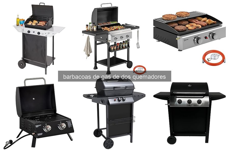 Consejos para Mantener Barbacoas de Gas de Dos Quemadores