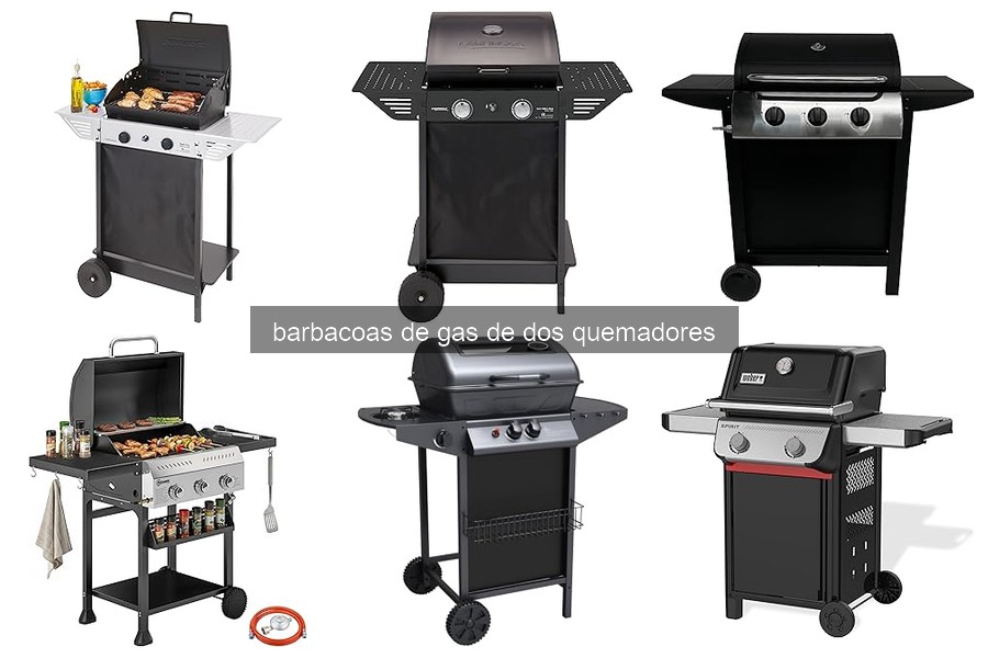 Diferencias entre Barbacoas de Gas de 2 y 3 Quemadores