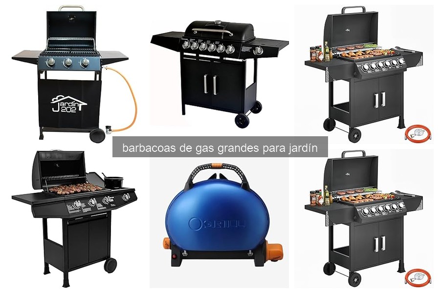 Diferencias entre barbacoas de gas grandes y eléctricas