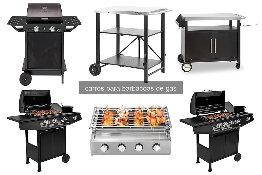 Mejores carros para barbacoas de gas en 2023: comparativa
