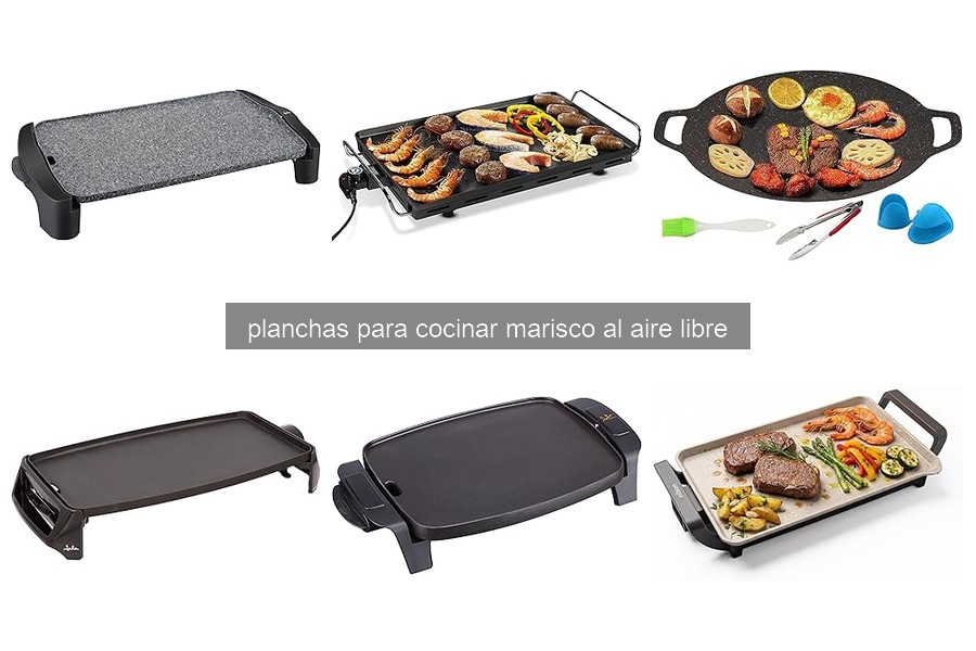 Mejores Planchas para Cocinar Marisco al Aire Libre 2023