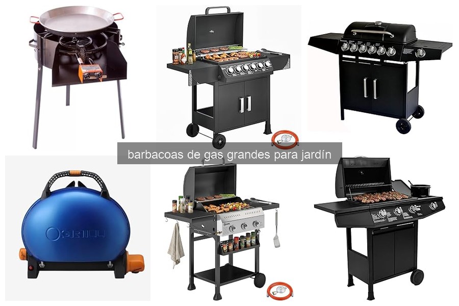 Problemas comunes de barbacoas de gas grandes y soluciones