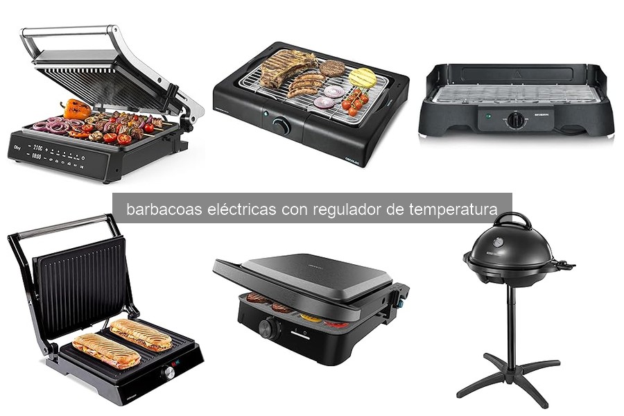 Qué es una barbacoa eléctrica con regulador de temperatura