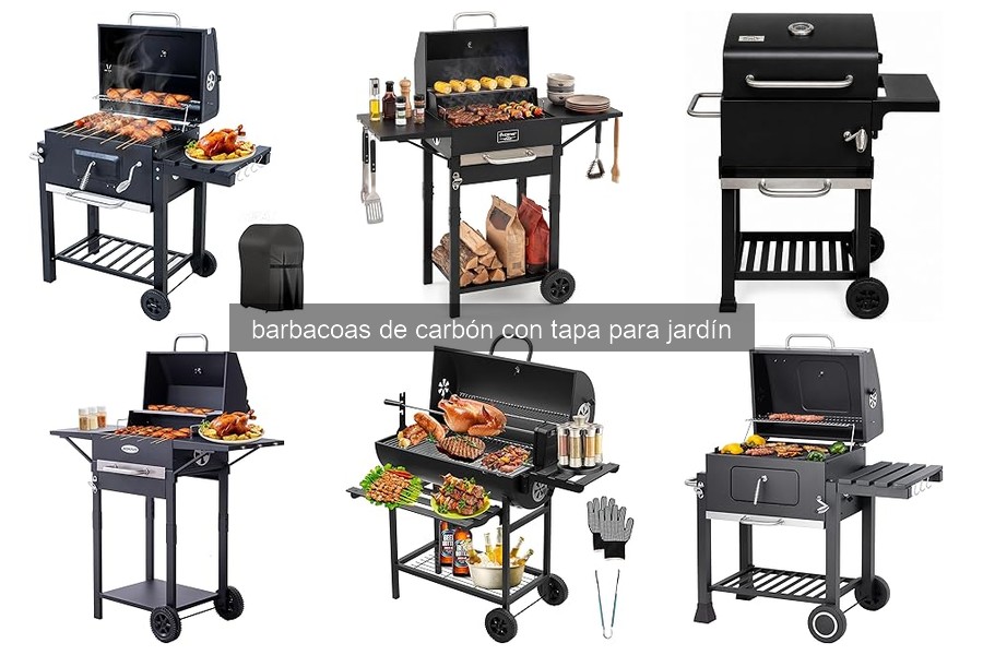 Ventajas y Desventajas de Barbacoas de Carbón con Tapa