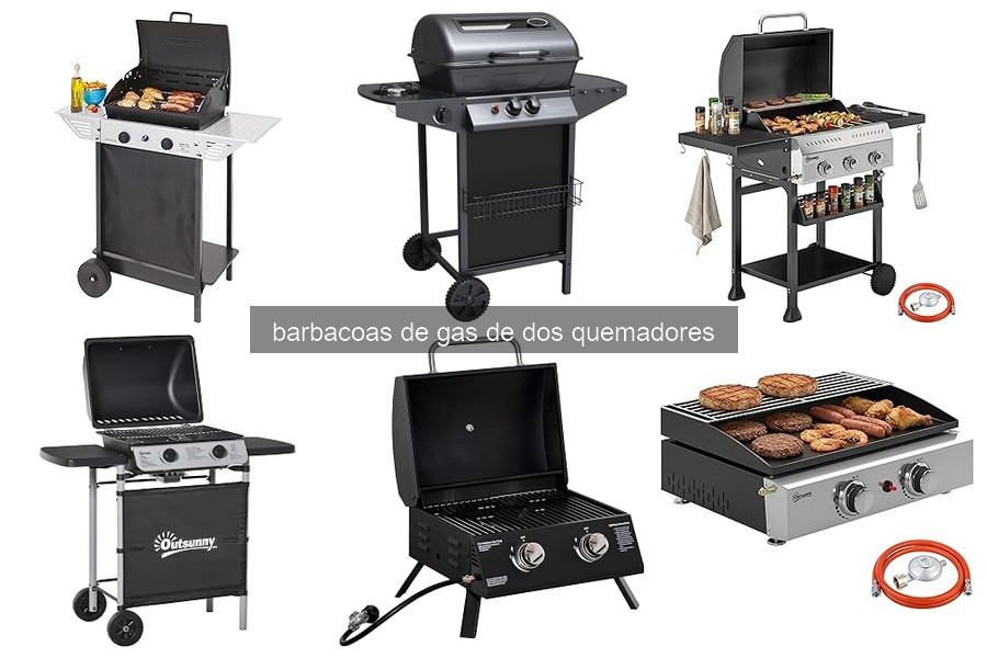 Ventajas y desventajas de las barbacoas de gas de dos quemadores